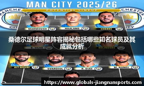 桑德尔足球明星阵容揭秘包括哪些知名球员及其成就分析